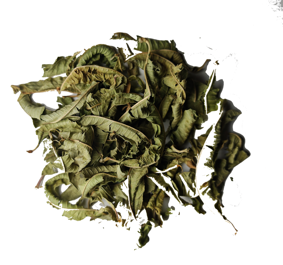 VERVEINE ODORANTE